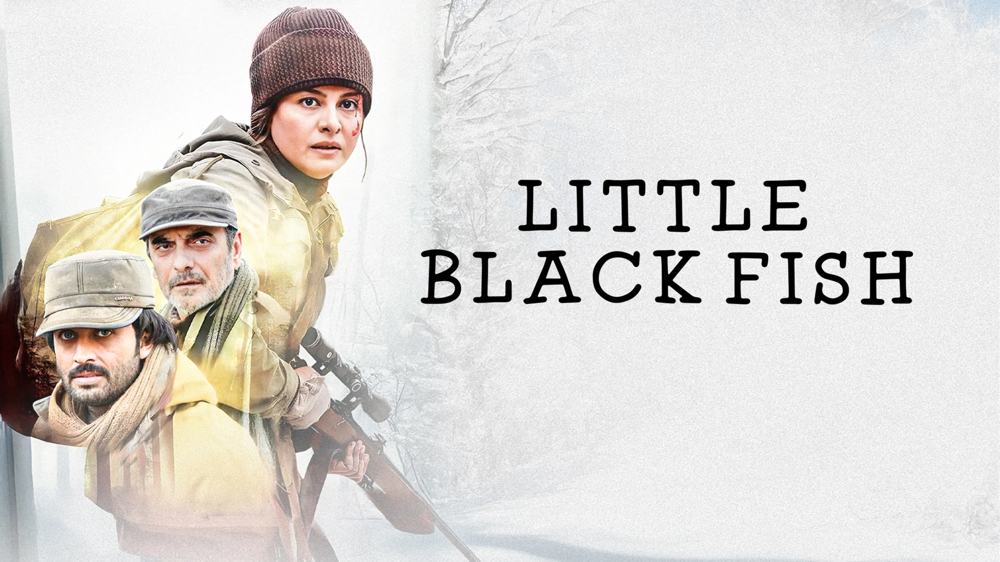 Little Black Fish poster